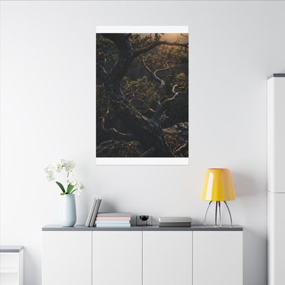Moody Pine Tree Canvas Art - Moody Minimal Dark Japandi