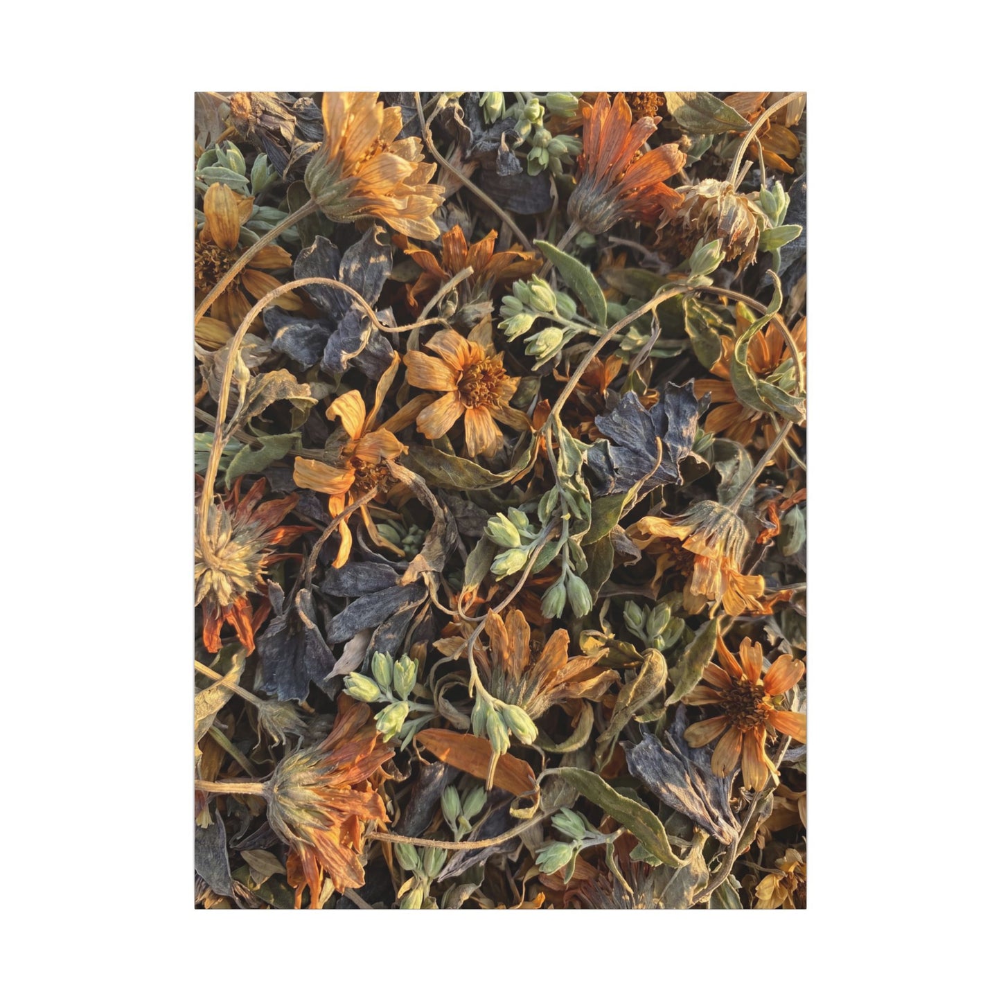 Spring Dried Flowers Japanese Pattern Canvas Art | Warm Decor
