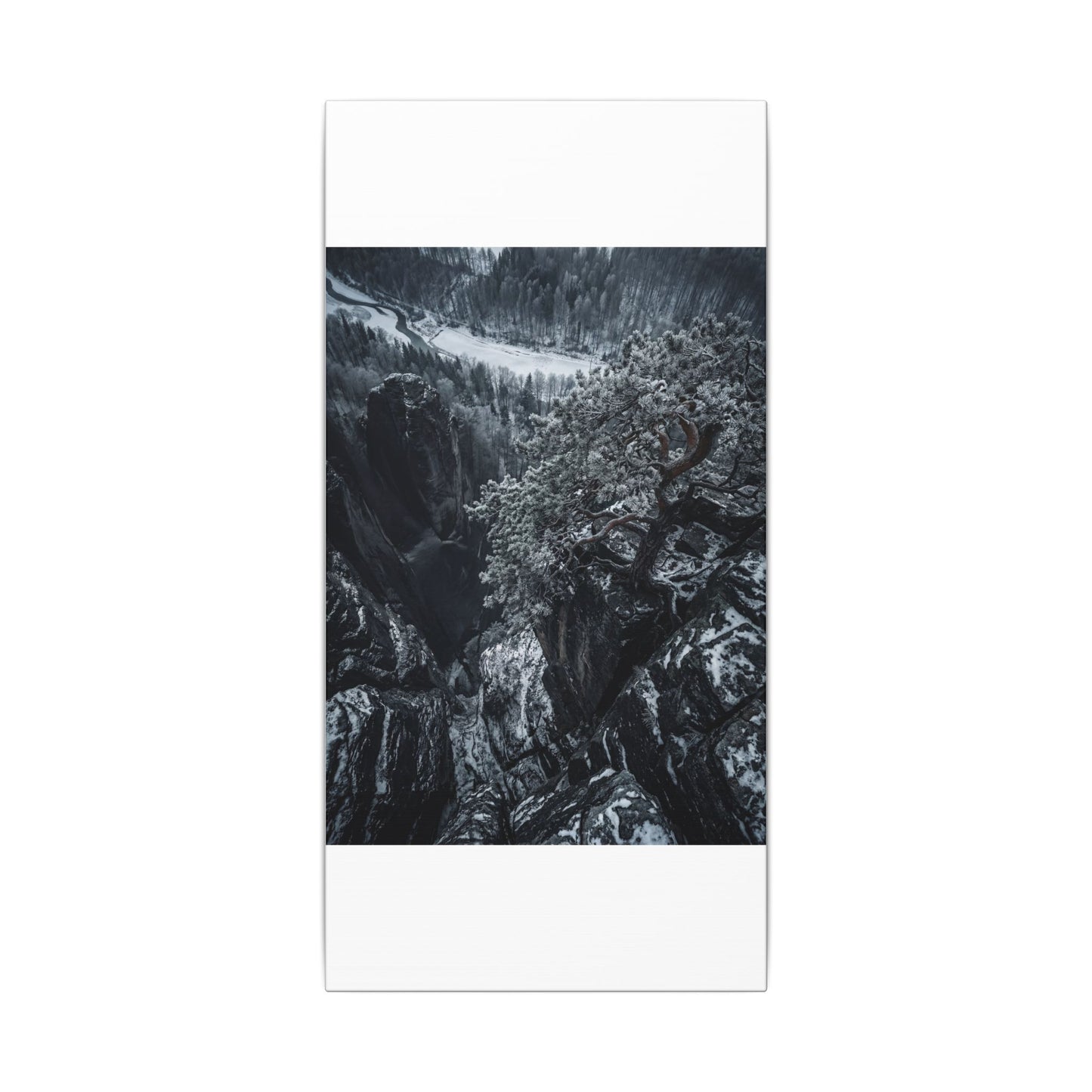 Dark Japandi Pine Tree in Dappled | Dark Texture Canvas Art