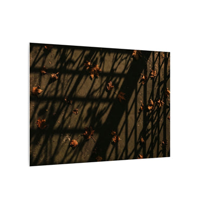 Dark Japandi Shadow Play in Golden Hour | Moody Minimal Canvas Art