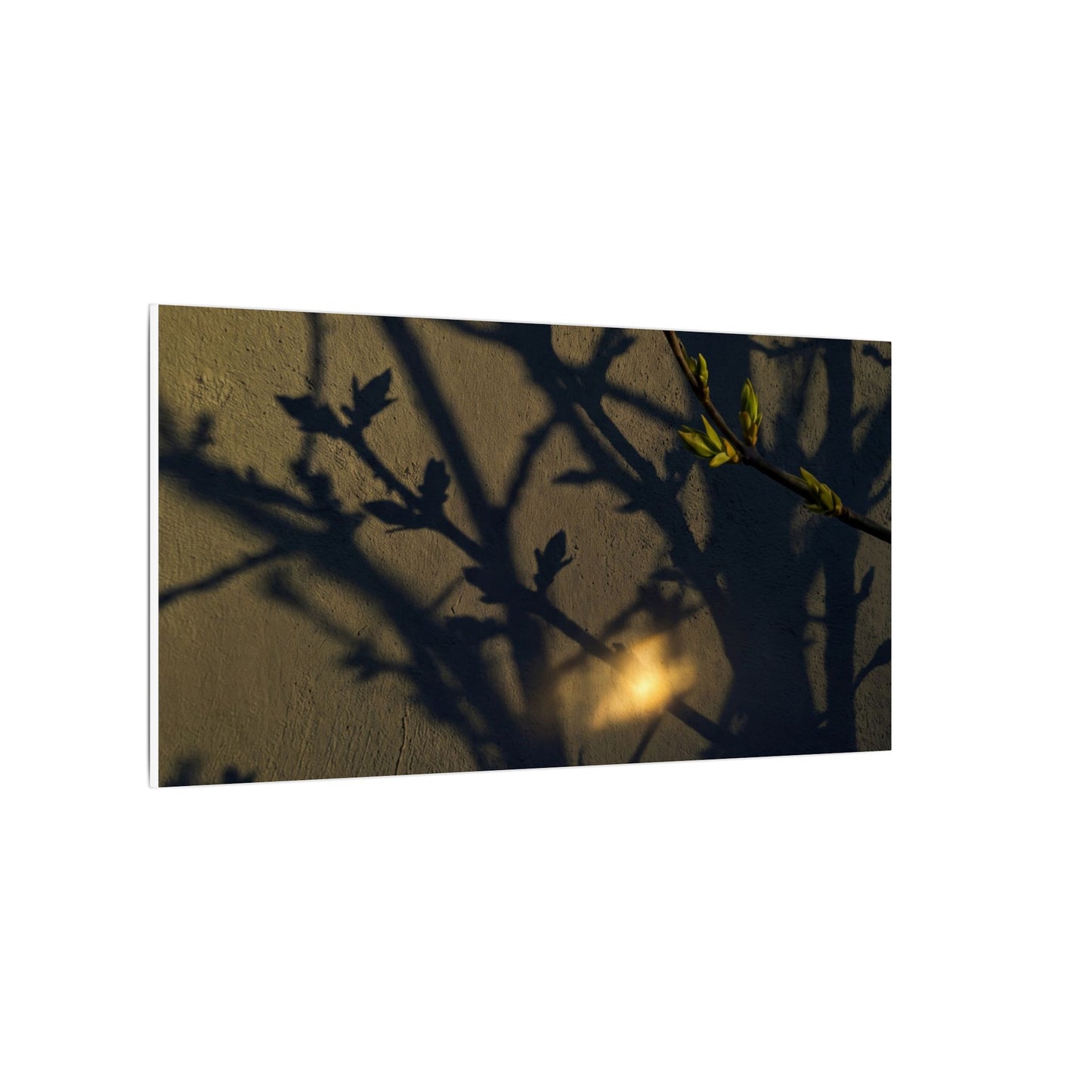 Bold Shadow Play Canvas Art - Moody Minimal Dark Japandi