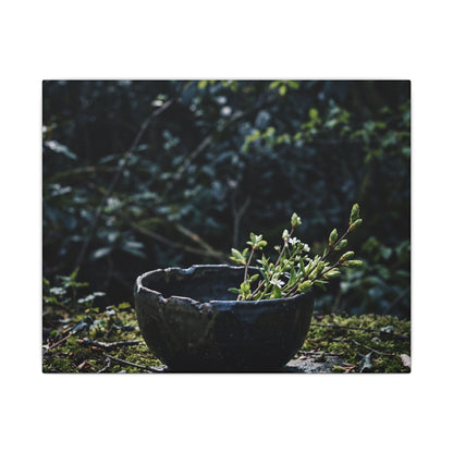 Dappled Ceramic Bowl Canvas Art - Dark Japandi Datsuzoku