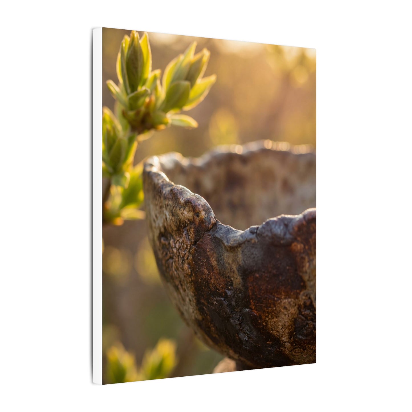 Golden Hour Ceramic Bowl Canvas Art - Dark Japandi Ma