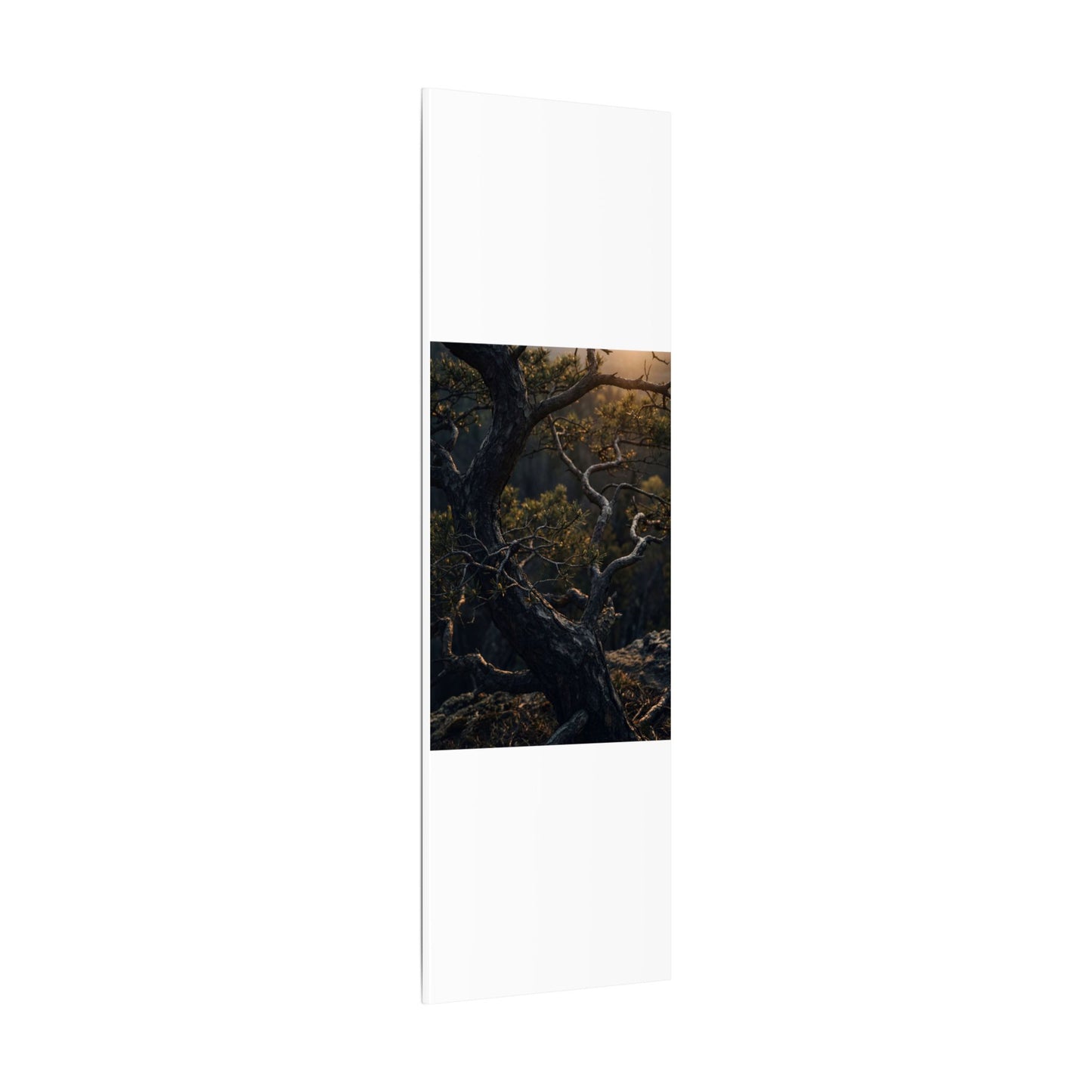 Moody Pine Tree Canvas Art - Moody Minimal Dark Japandi