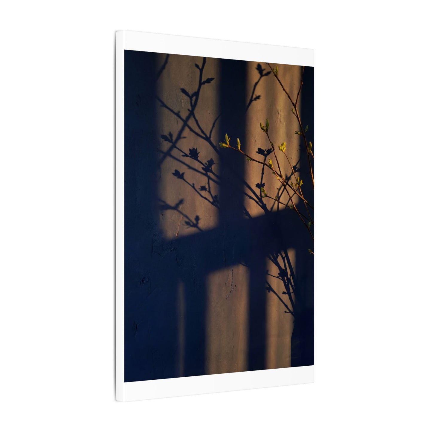 Shadow Play Canvas Art | Spring Dark Japandi Shadow Zen Art