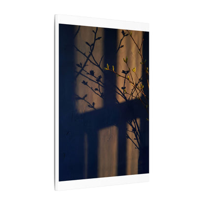 Shadow Play Canvas Art | Spring Dark Japandi Shadow Zen Art