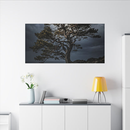 Dappled Pine Tree Canvas Art - Dark Japandi Fukinsei