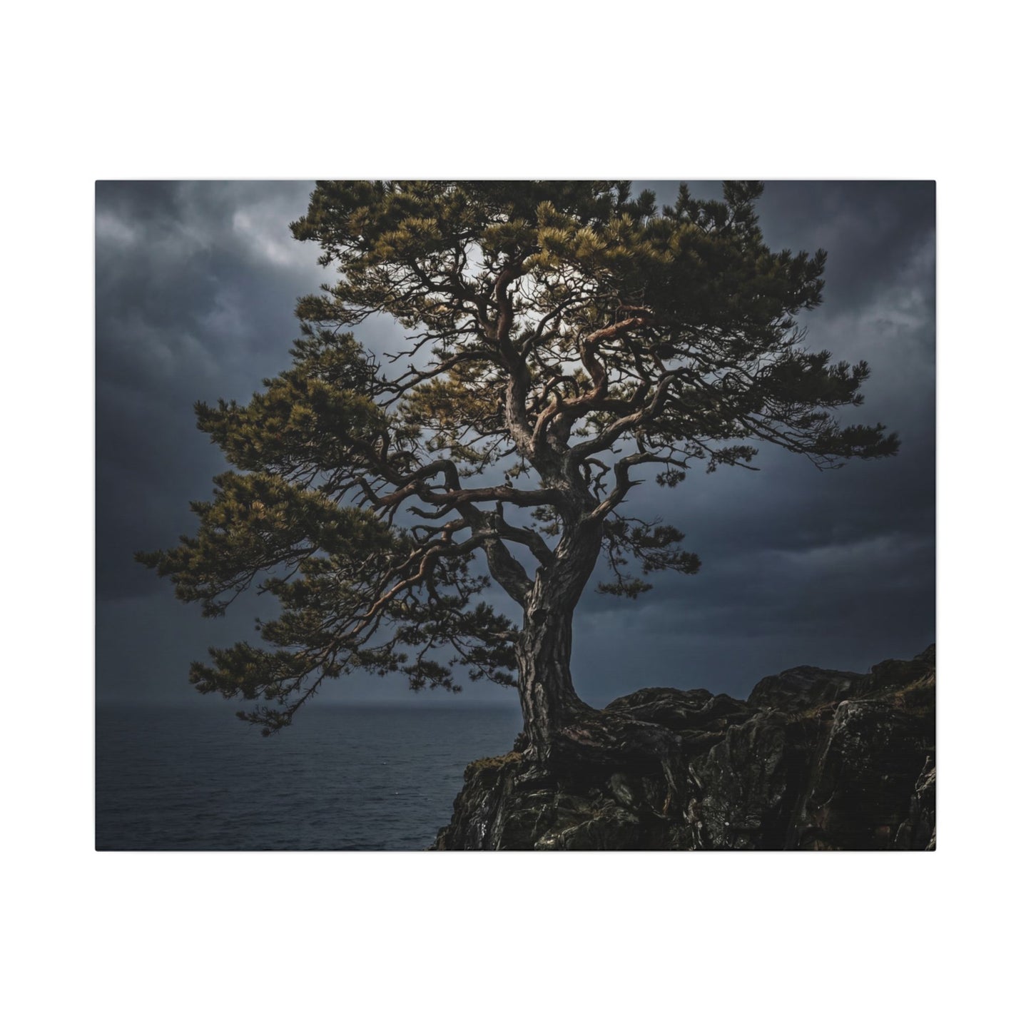 Dappled Pine Tree Canvas Art - Dark Japandi Fukinsei Art Print