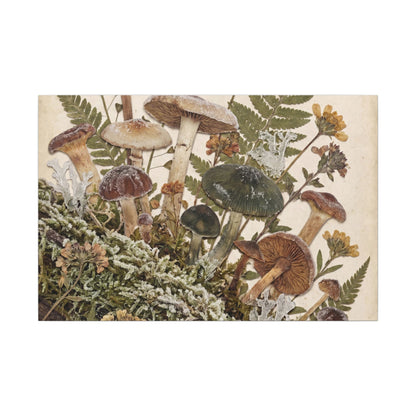 Winter Wild Mushrooms Herbarium Canvas Art | Enchanting Decor