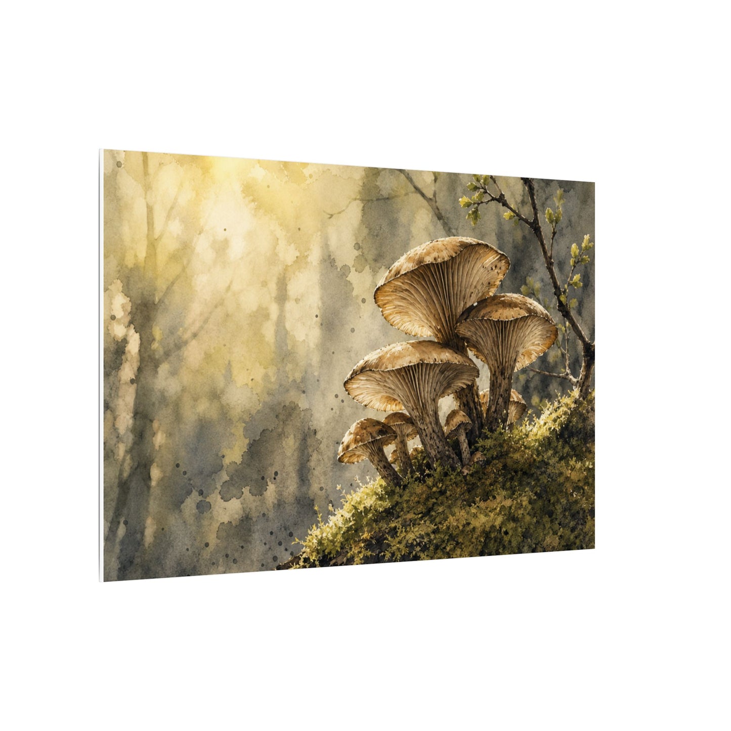 Wild Mushrooms Canvas Art | Spring Japandi Watercolor Art