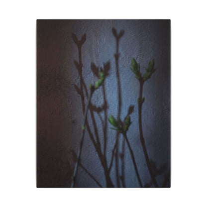 Shadow Play Spring Canvas Art | Dark Japandi Sophisticated Design