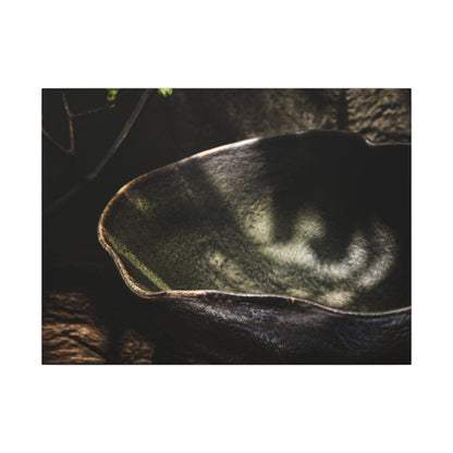 Sophisticated Ceramic Bowl Canvas Art - Dark Texture Dark Japandi