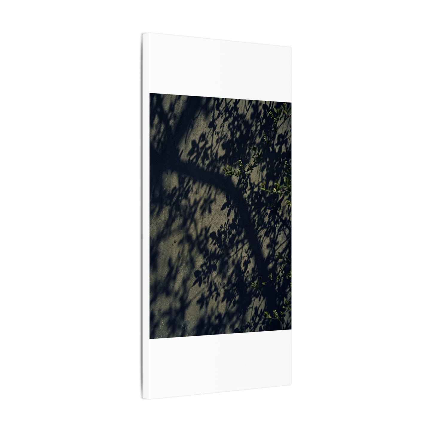 Atmospheric Shadow Play Canvas Art - Moody Minimal Dark Japandi