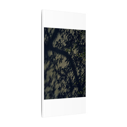 Atmospheric Shadow Play Canvas Art - Moody Minimal Dark Japandi