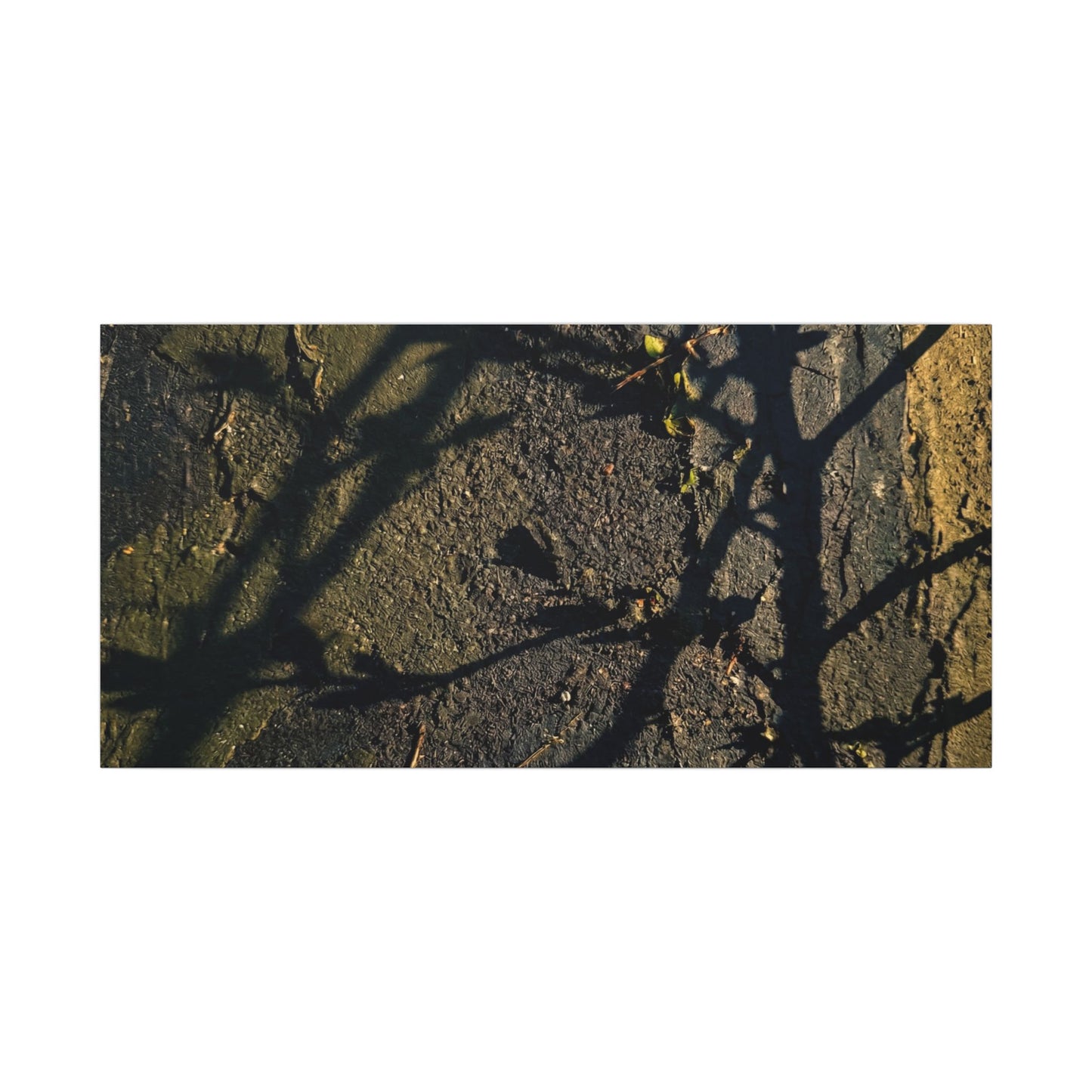 Kanso Shadow Play Canvas Art - Dark Japandi Dark Texture