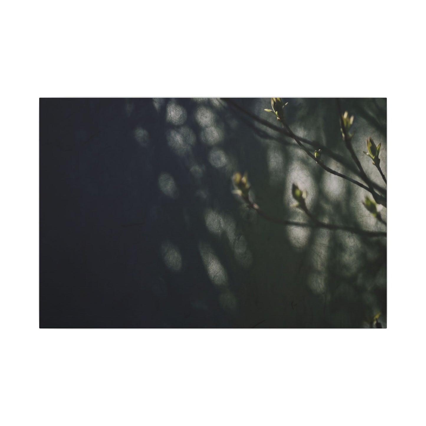 Dark Japandi Shoji Screen in Dappled | Moody Minimal Canvas Art
