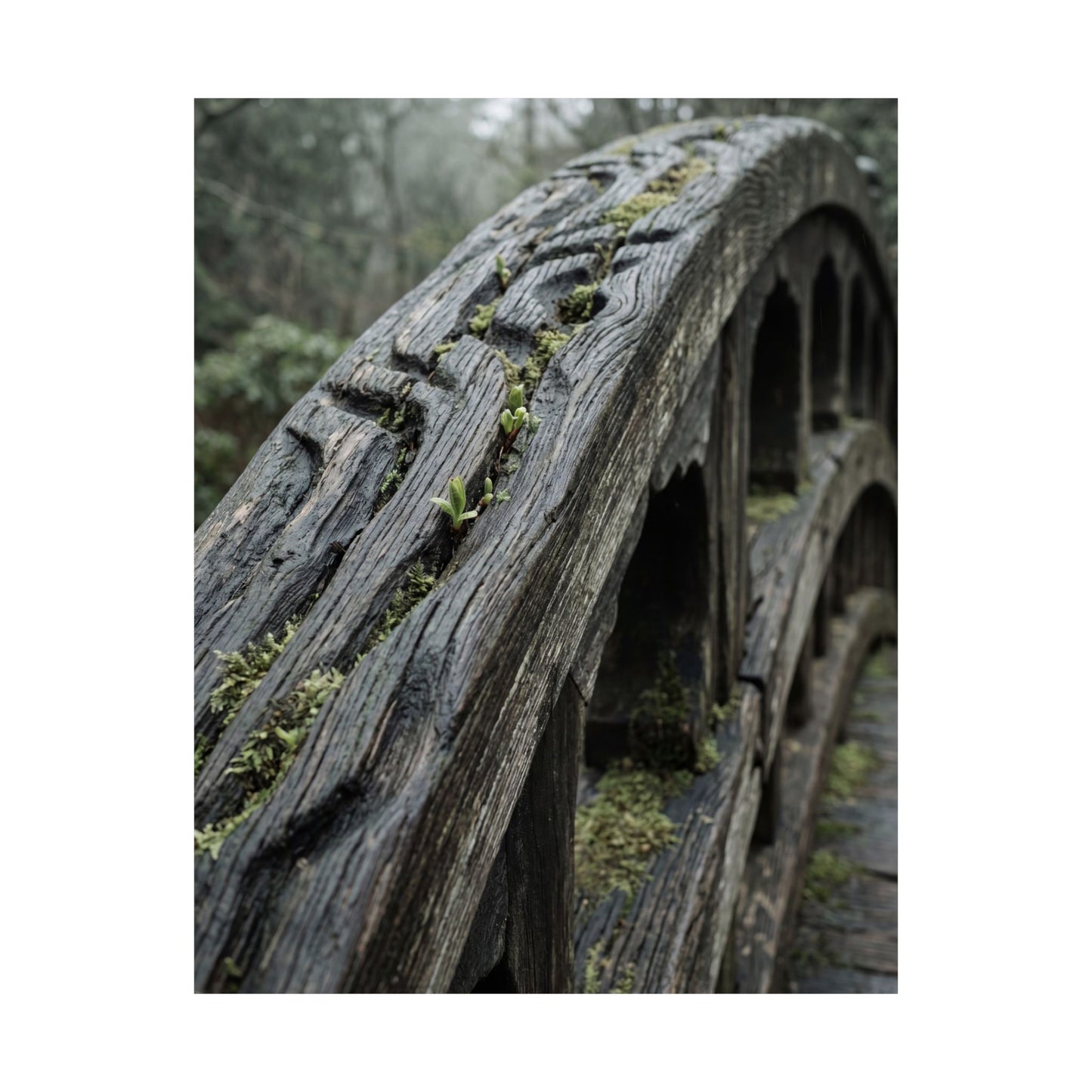 Kanso Wooden Bridge Wall Art Print - Japandi Japanese Pattern