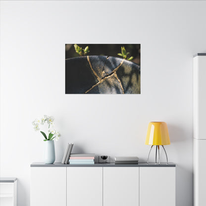 Seijaku Broken Pottery Canvas Art - Dark Japandi Shadow Zen
