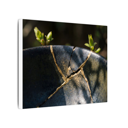 Seijaku Broken Pottery Canvas Art - Dark Japandi Shadow Zen