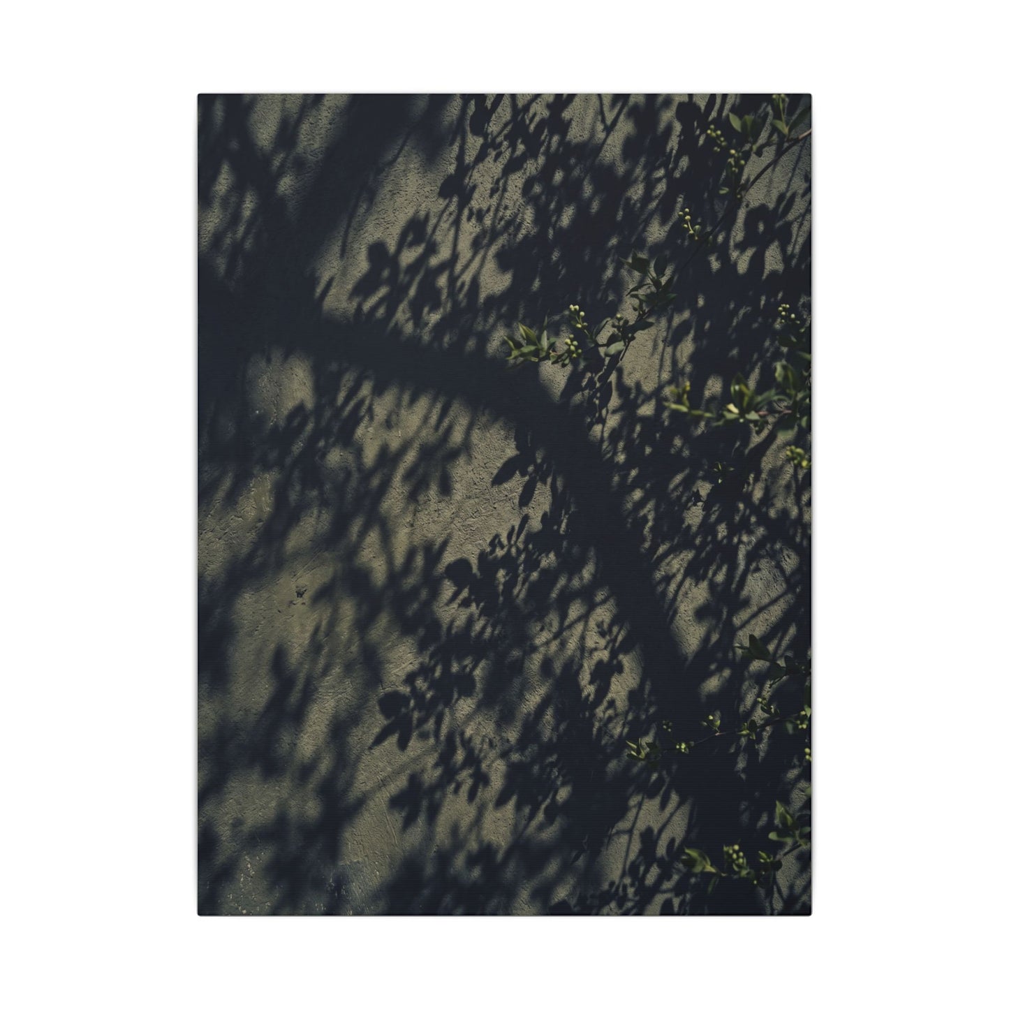 Atmospheric Shadow Play Canvas Art - Moody Minimal Dark Japandi