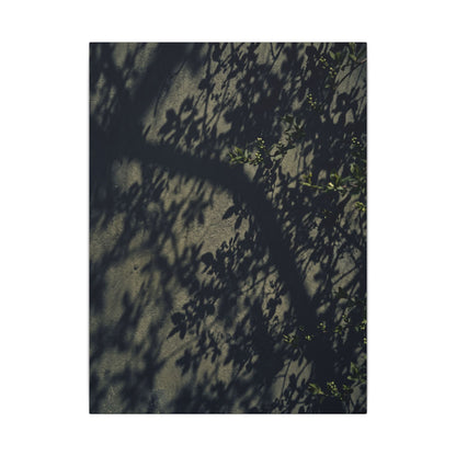 Atmospheric Shadow Play Canvas Art - Moody Minimal Dark Japandi