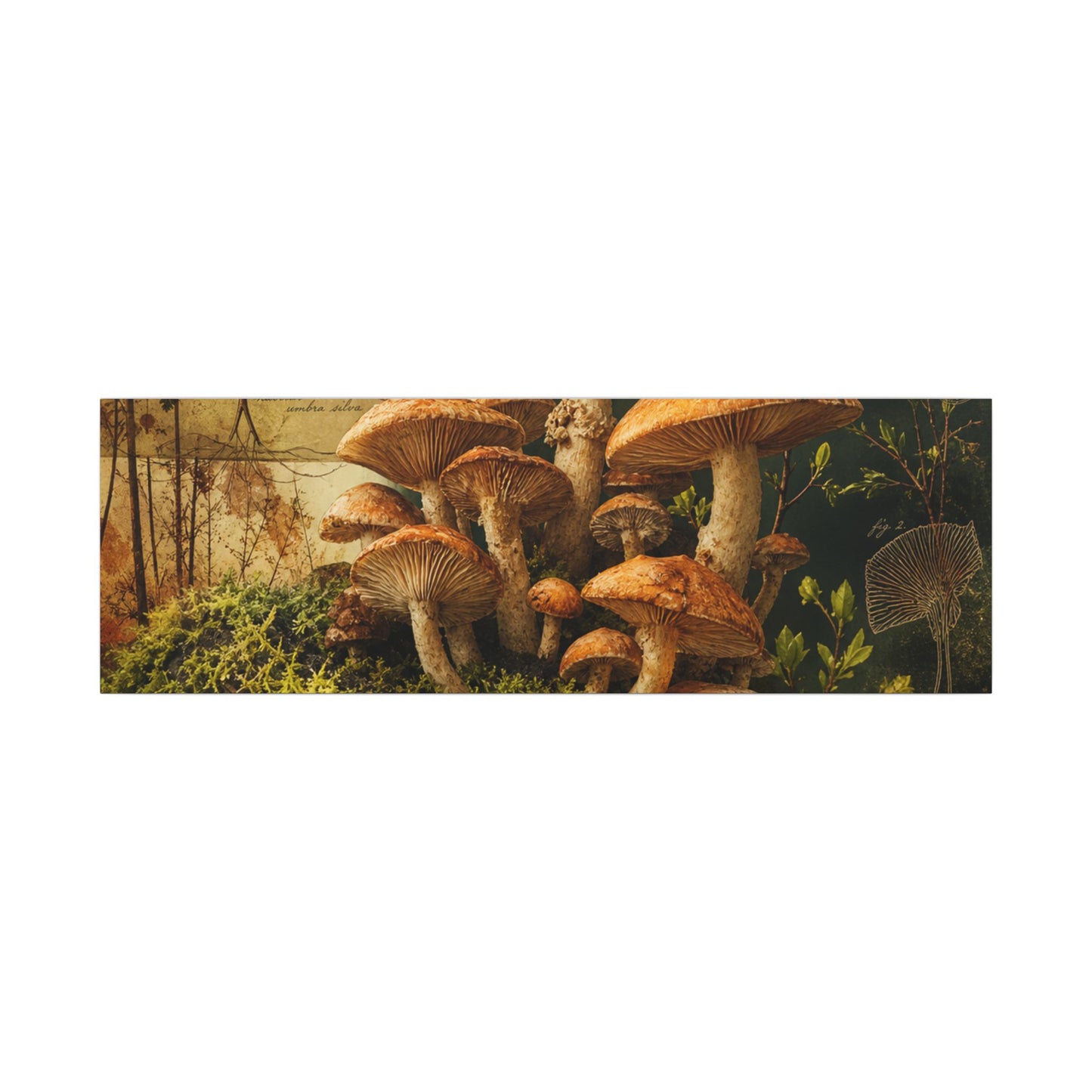 Spring Wild Mushrooms Herbarium Canvas Art | Earthy Decor