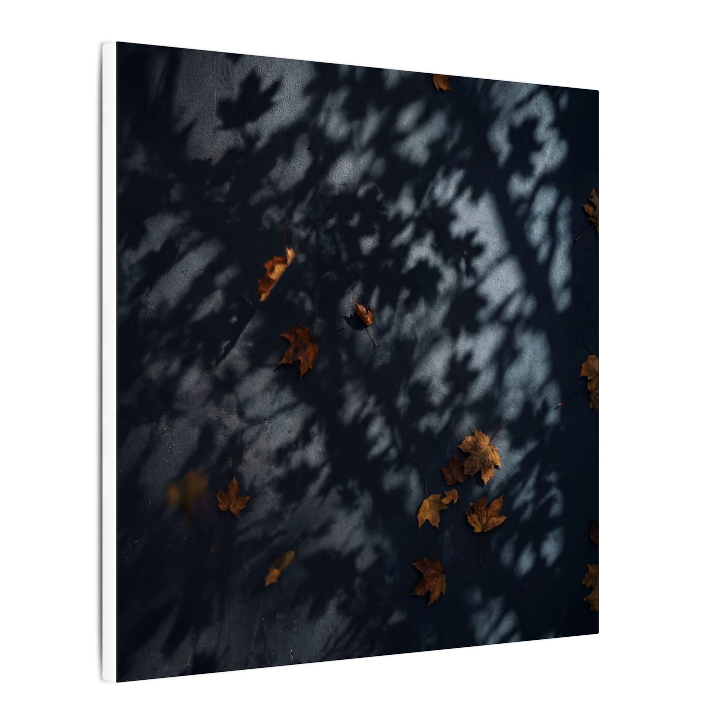 Autumn Shadow Play Shadow Zen Canvas Art | Atmospheric Decor