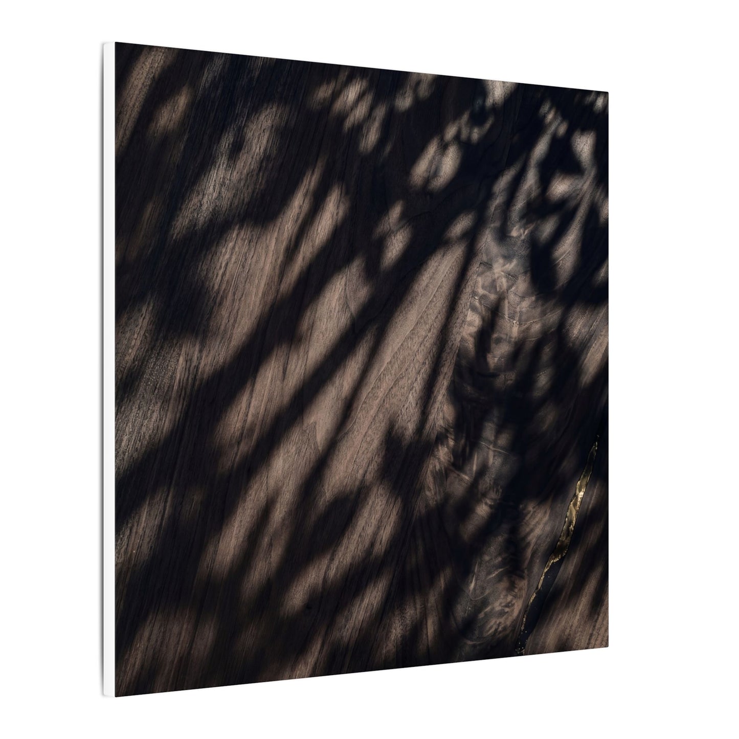 Shadow Play Summer Canvas Art | Dark Japandi Moody Design