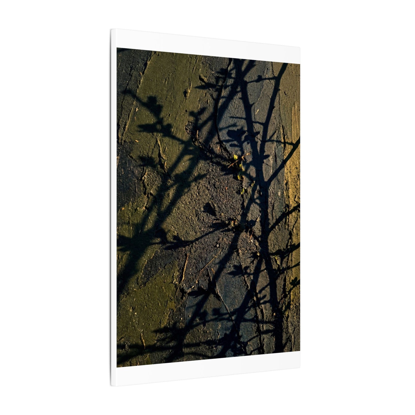 Kanso Shadow Play Canvas Art - Dark Japandi Dark Texture