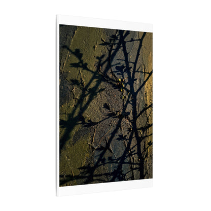 Kanso Shadow Play Canvas Art - Dark Japandi Dark Texture