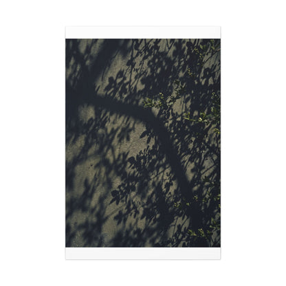 Atmospheric Shadow Play Canvas Art - Moody Minimal Dark Japandi