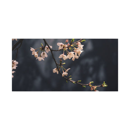 Cherry Blossom Moody Minimal Canvas Art | Bold Dark Japandi Art
