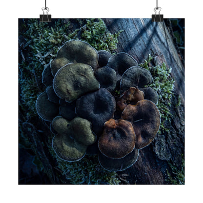 Moonlight Wild Mushrooms Wall Art Print - Dark Japandi Shibui Art Print