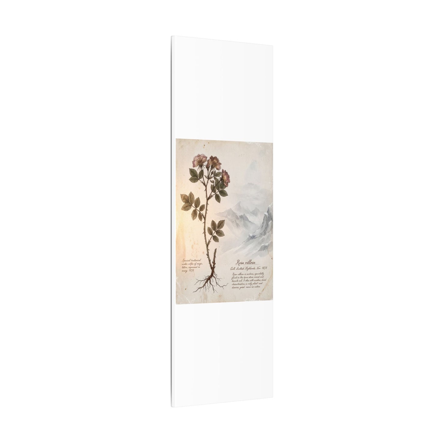 Winter Mountain Mist Herbarium Canvas Art | Earthy Decor