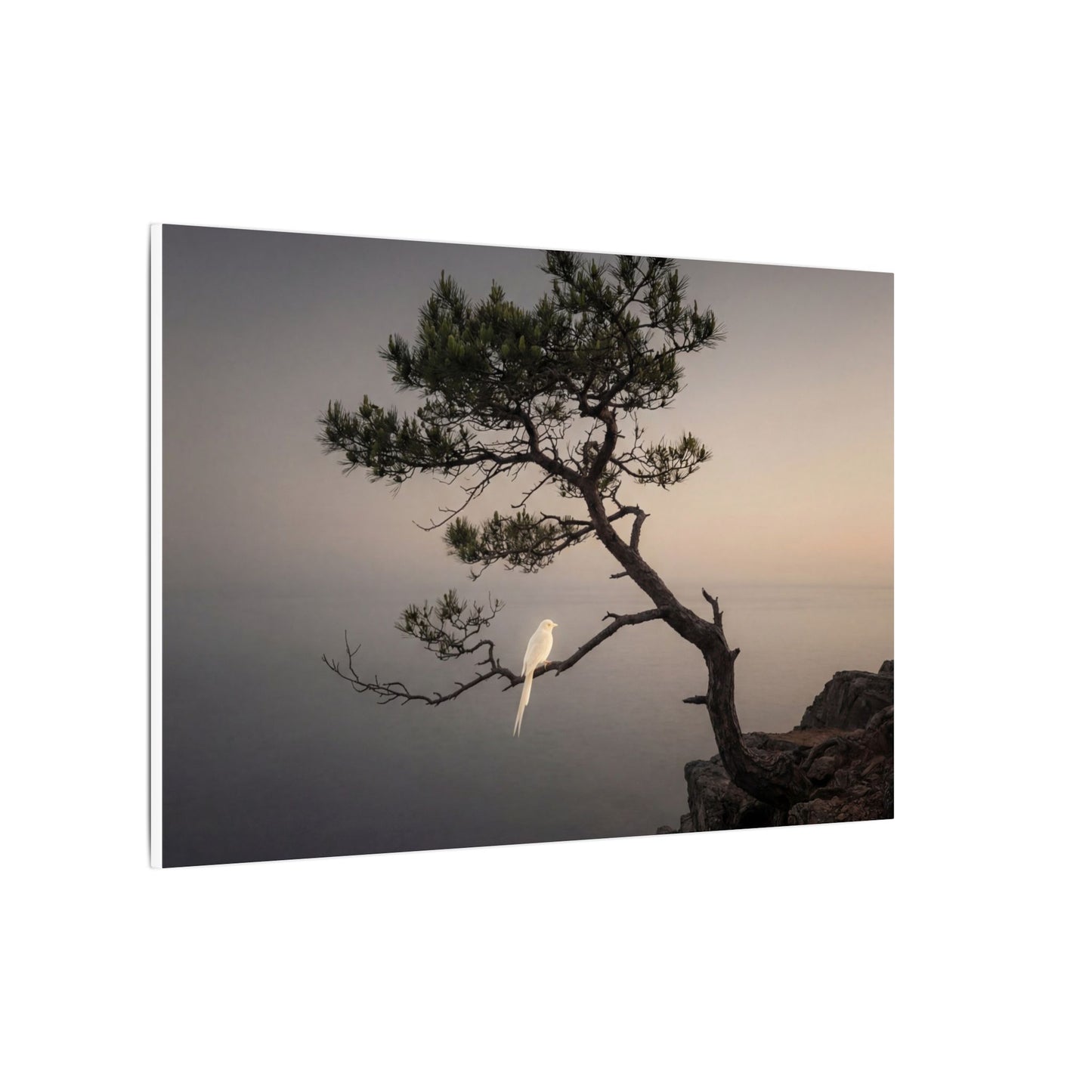 Dawn Pine Tree Canvas Art - Dark Japandi Datsuzoku