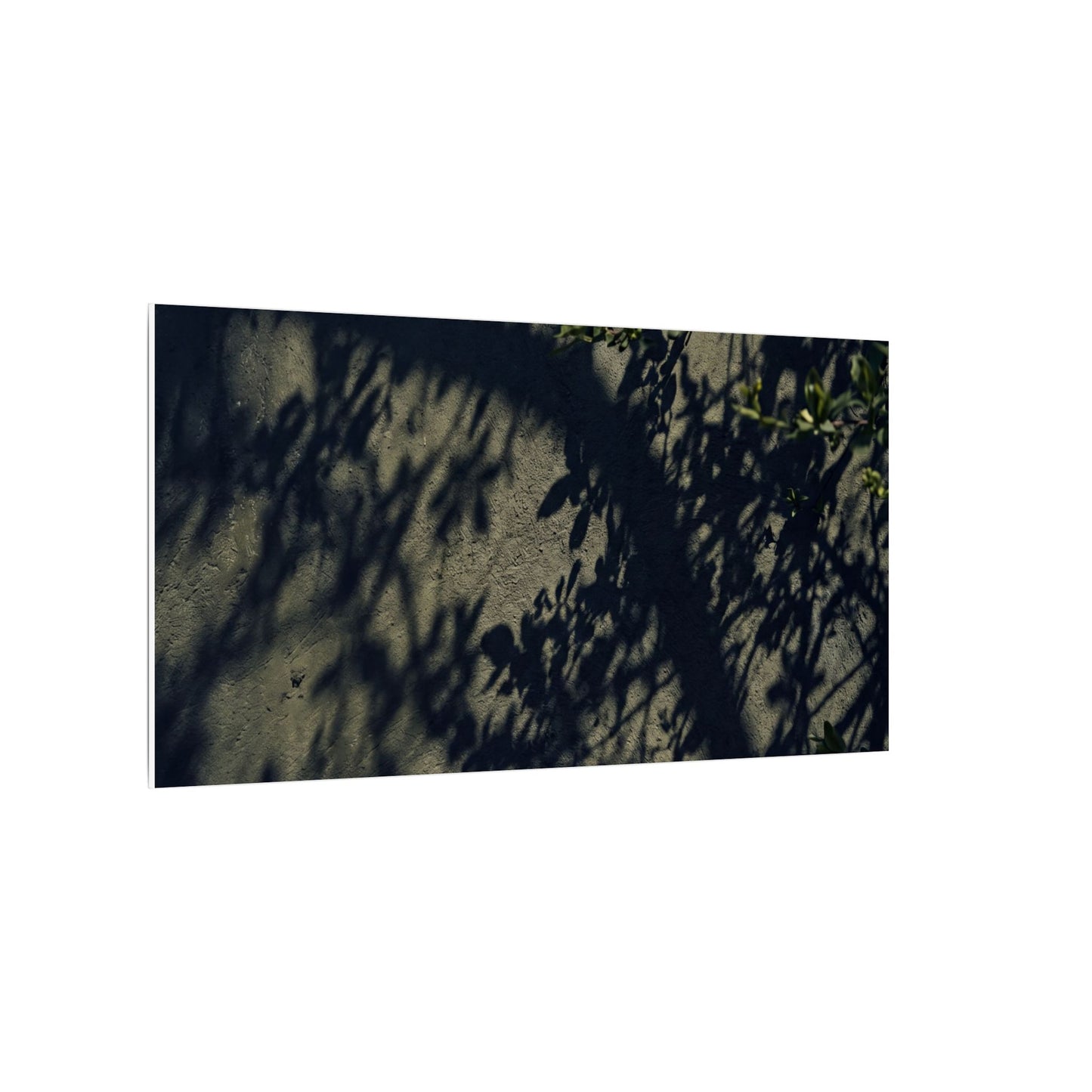 Atmospheric Shadow Play Canvas Art - Moody Minimal Dark Japandi