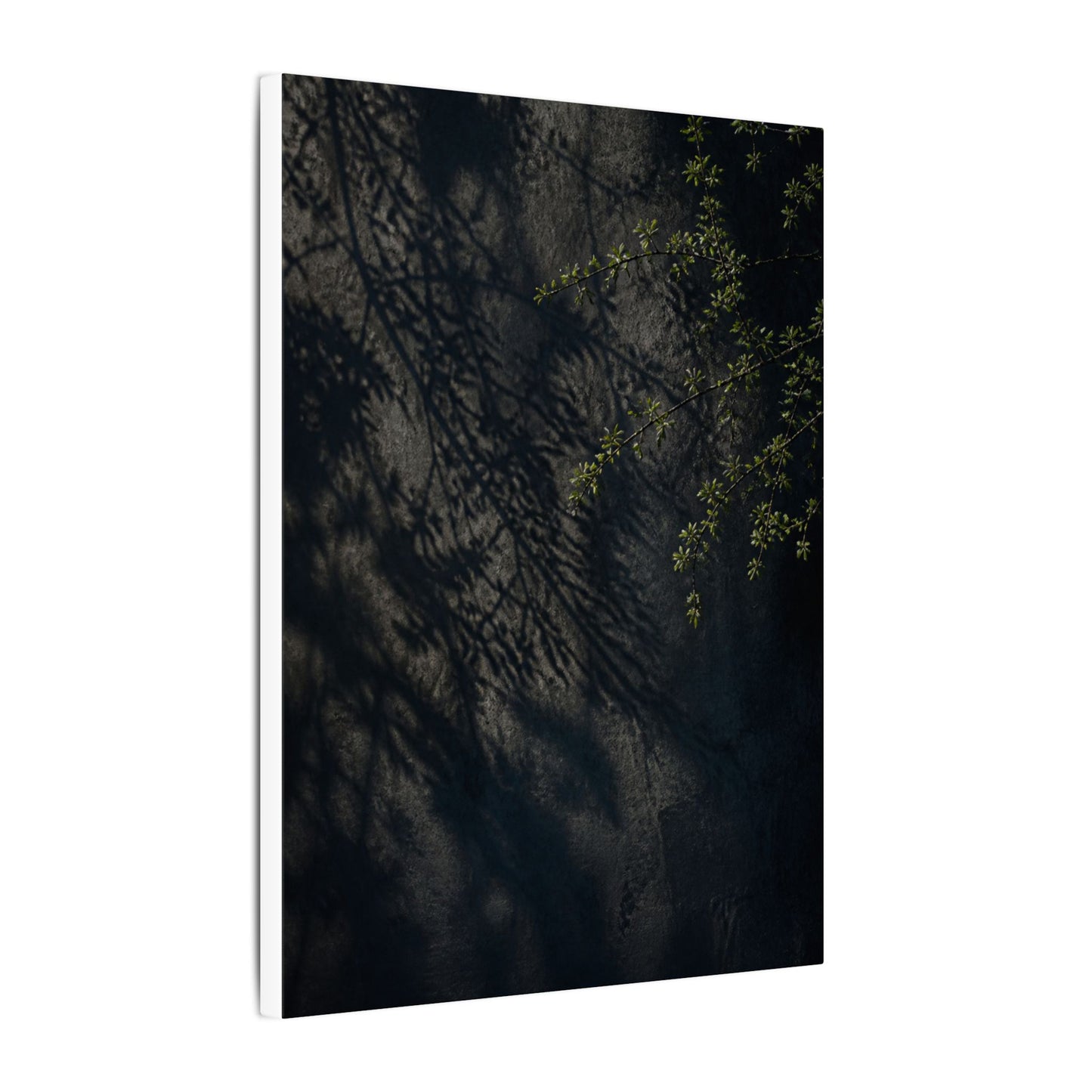 Overcast Shadow Play Canvas Art - Dark Japandi Seijaku