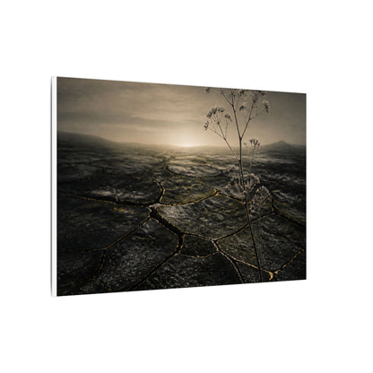 Dawn Cracked Earth Canvas Art - Dark Japandi Mono No Aware