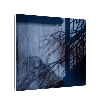 Shadow Play Moody Minimal Canvas Art | Moody Dark Japandi Art