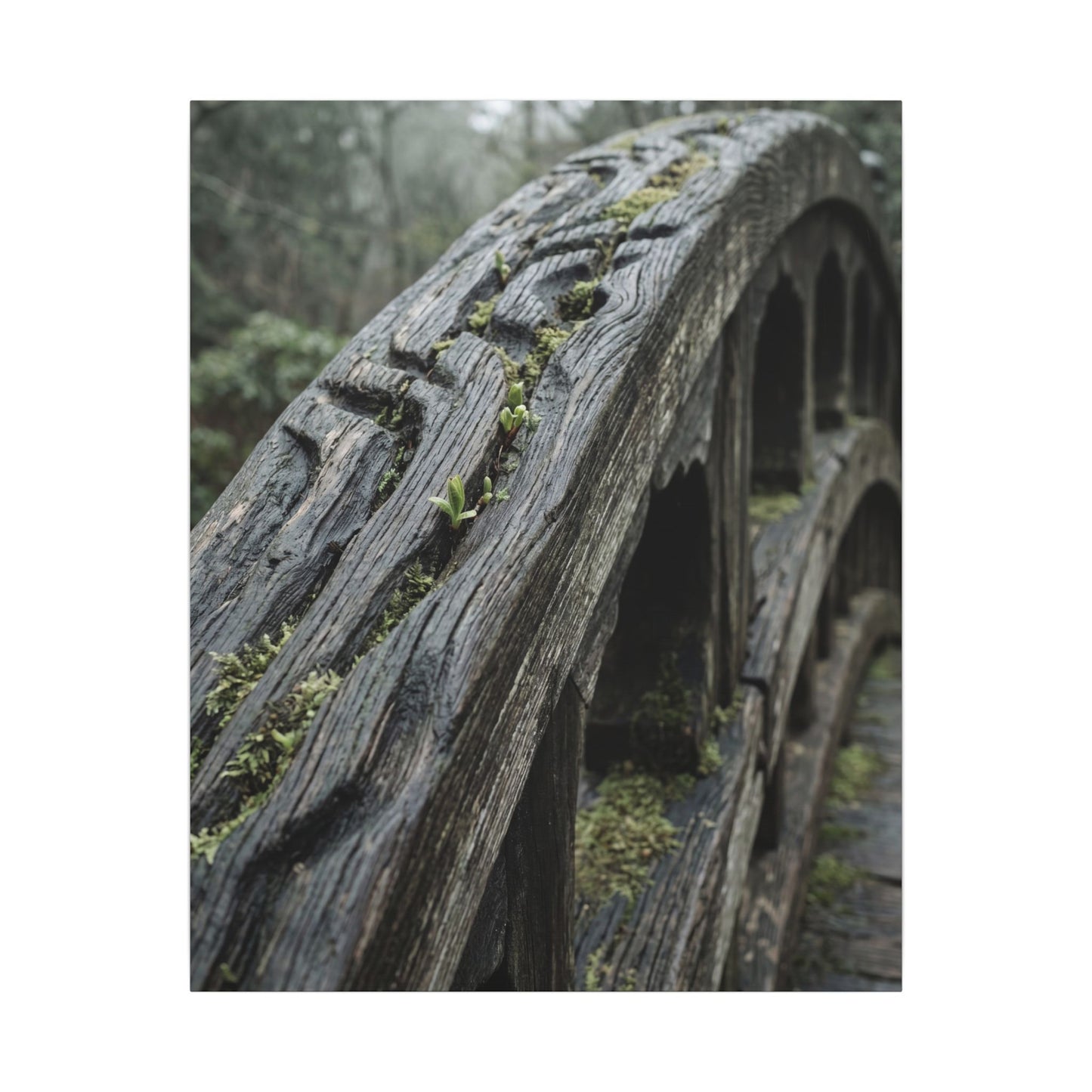 Overcast Wooden Bridge Canvas Art - Japandi Kanso