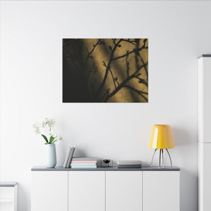Golden Hour Shadow Play Canvas Art - Dark Japandi Seijaku