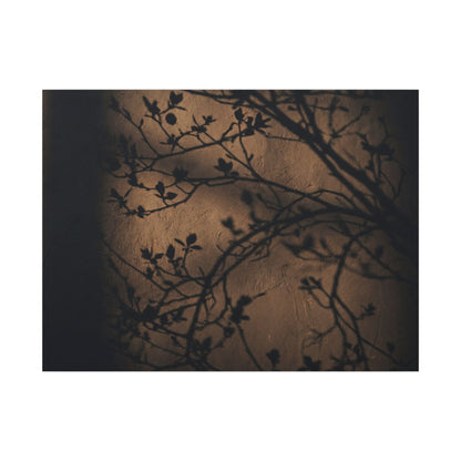 Dark Japandi Shadow Play in Golden Hour | Shadow Zen Canvas Art Art Print