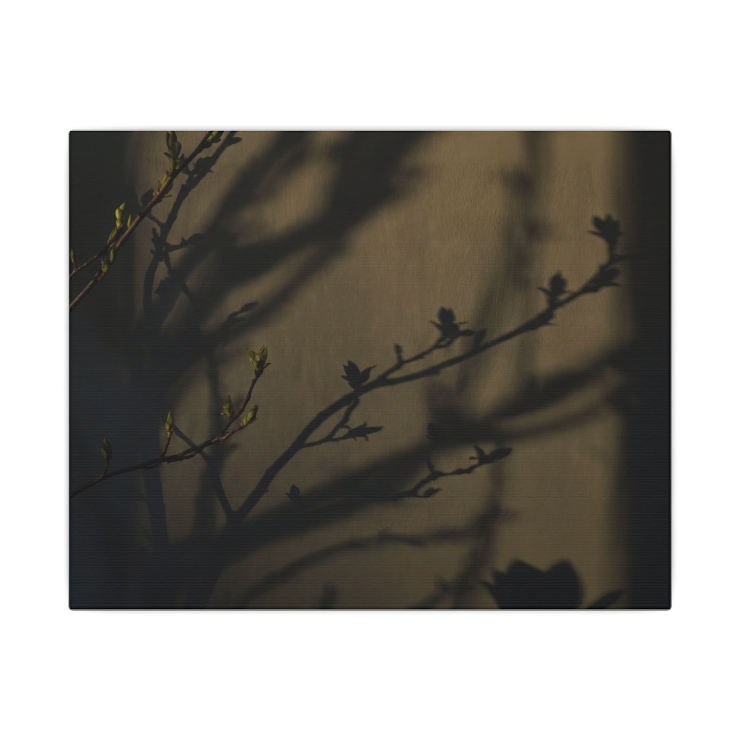 Seijaku Shadow Play Canvas Art - Dark Japandi Charcoal Ink