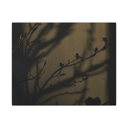 Seijaku Shadow Play Canvas Art - Dark Japandi Charcoal Ink
