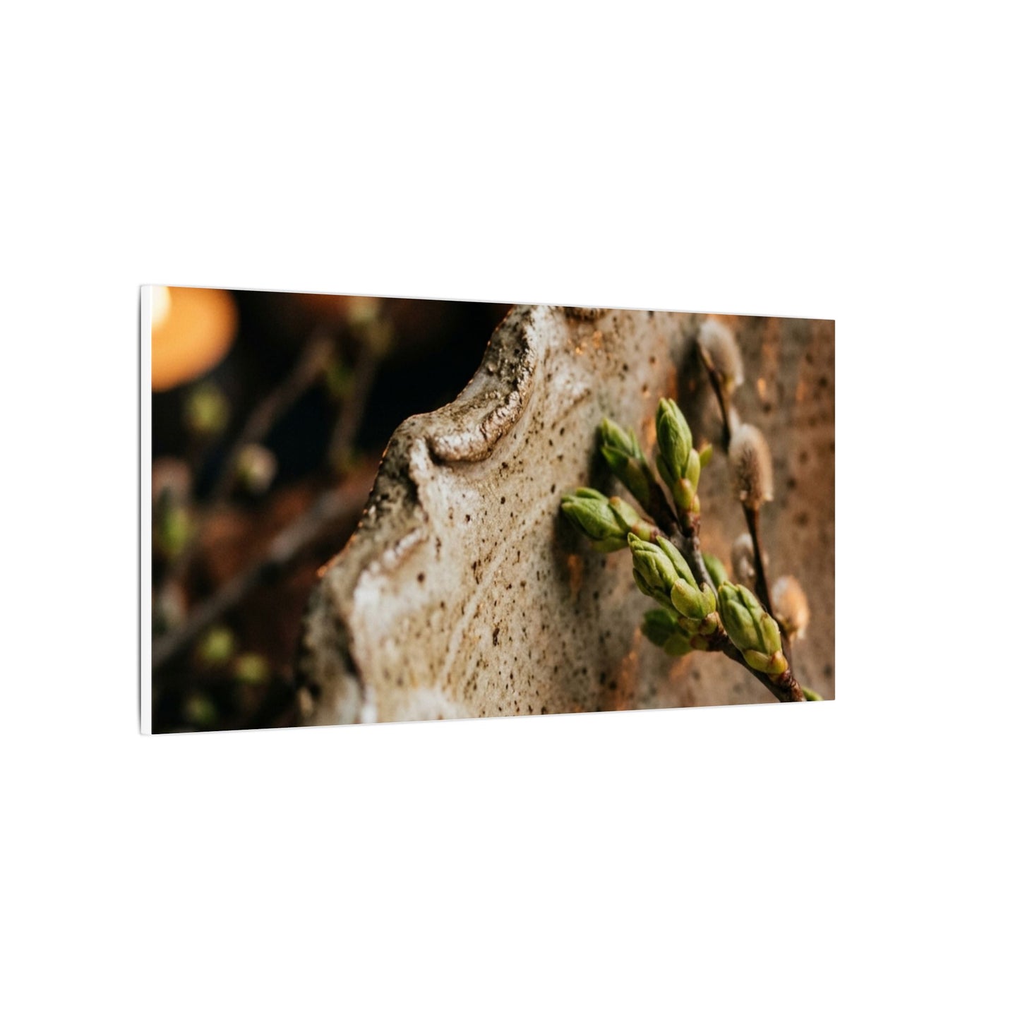 Overcast Ceramic Bowl Canvas Art - Japandi Ma