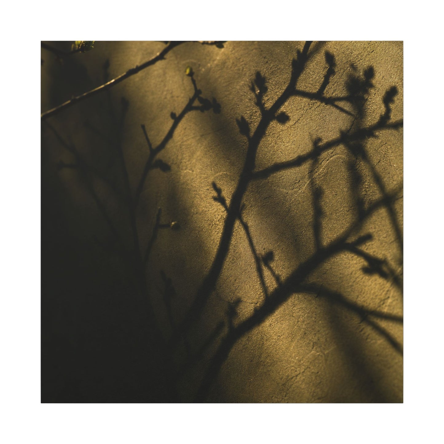 Golden Hour Shadow Play Canvas Art - Dark Japandi Seijaku