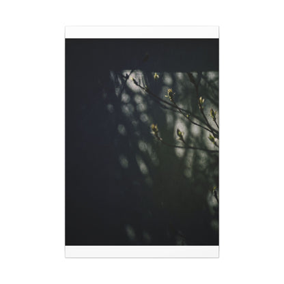 Dark Japandi Shoji Screen in Dappled | Moody Minimal Canvas Art