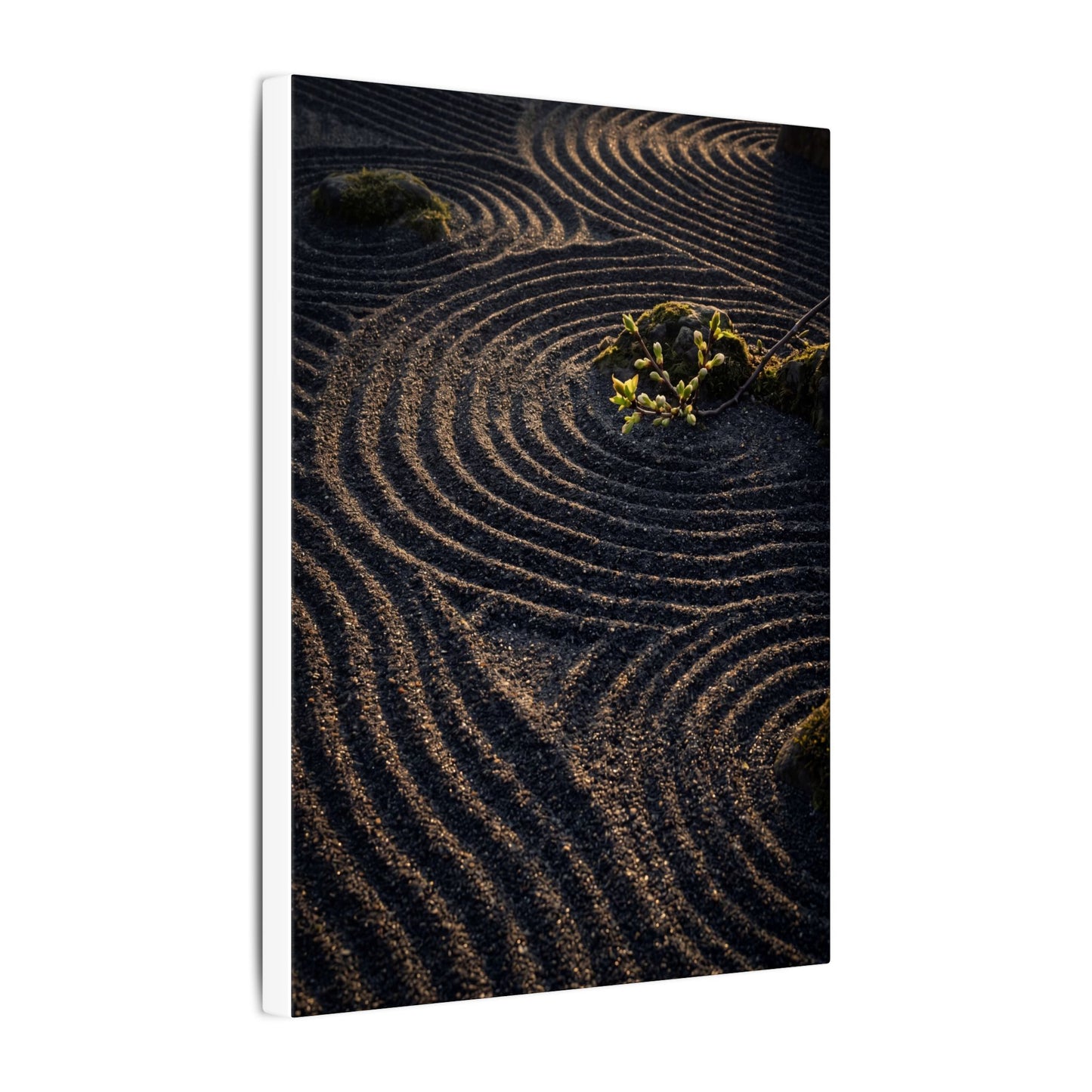 Spring Rock Garden Shadow Zen Canvas Art | Atmospheric Decor