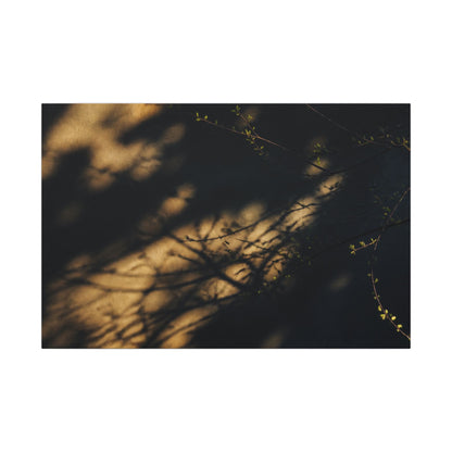 Moody Shadow Play Canvas Art - Moody Minimal Dark Japandi