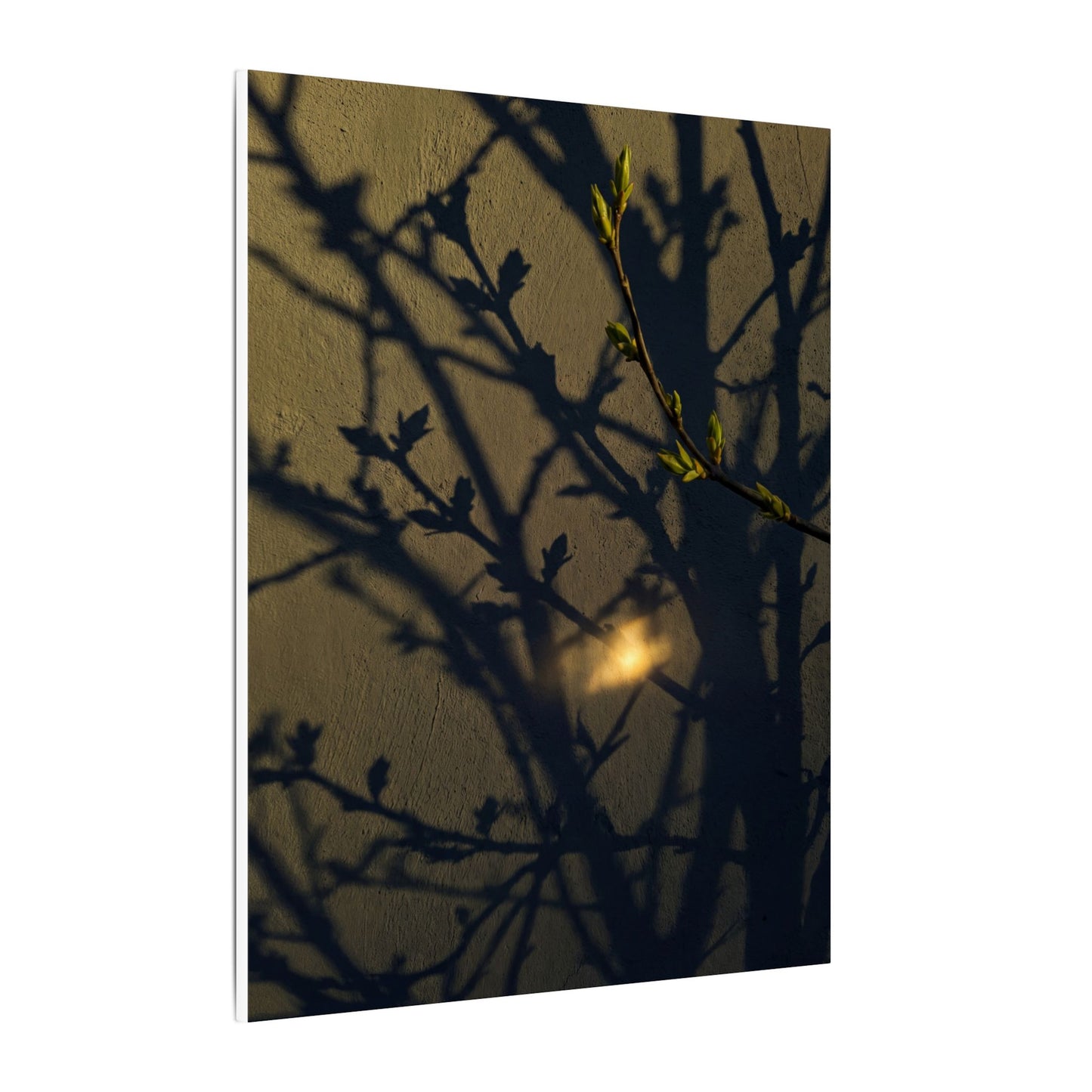 Bold Shadow Play Canvas Art - Moody Minimal Dark Japandi
